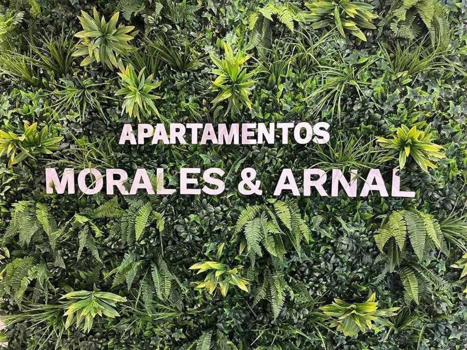 XXI E Apartamentos Morales & Arnal Ronda Esterno foto